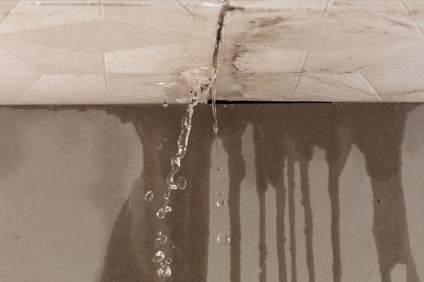 Professional Burst Pipe Cleanup technician working in Bridgeport, OH